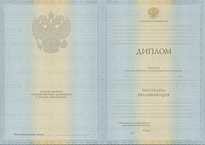 Диплом специалиста 2009-2010 года